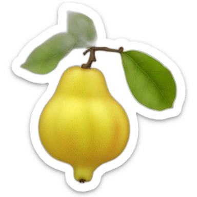 quince fruit sticker