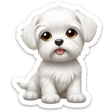 Baby maltese with short hair sticker
