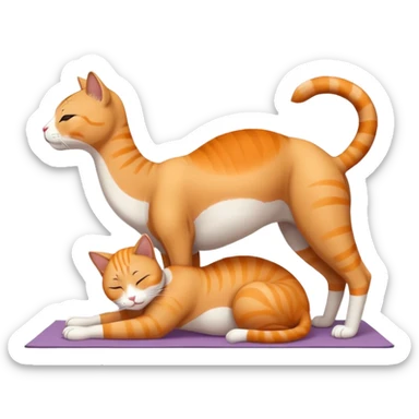 cat doing yoga camel pose with arched back sticker