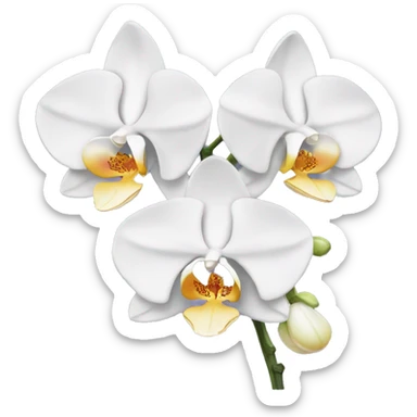 White Orchid sticker