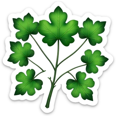 Trebol de 5 hojas de black clover sticker