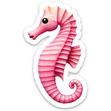 Pink light sea horse sticker
