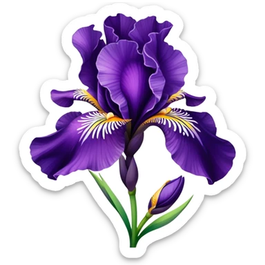 purple iris flower with elegant petals sticker