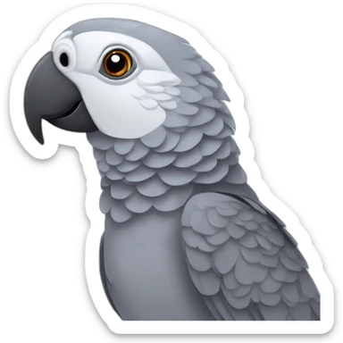 african grey parrot sticker