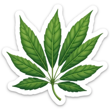 Hoja de mariguana Hoja de mariguana sticker