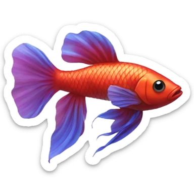 beta fish with bow sticker