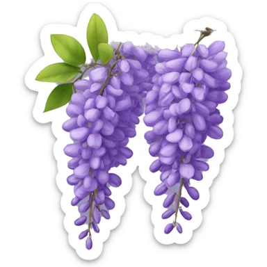 Wisteria sticker