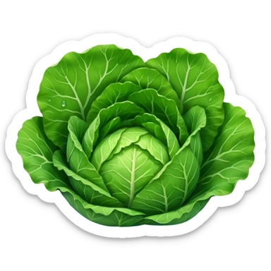 cabbage leaf only one leaf  sticker