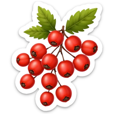 rowan/mountain ash berries, simple sticker