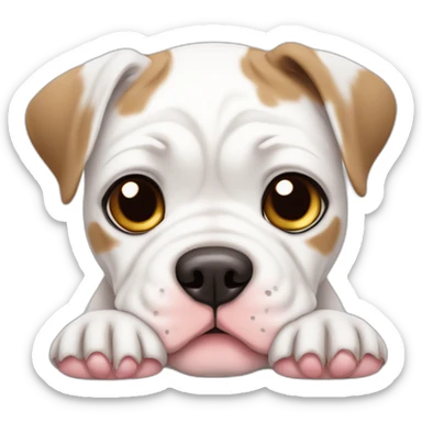 Sad White American bulldog puppy with a brown patch and hearts sticker