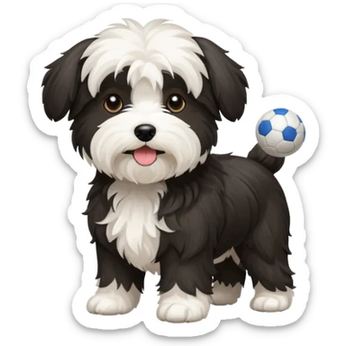 mostly white & black Havenese dog standing with ball sticker