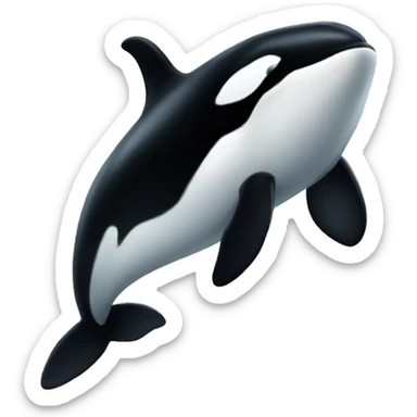 Orca  sticker