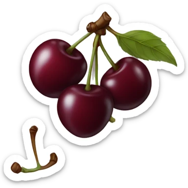 Burgundy cherry’s sticker