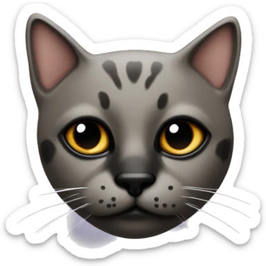 A cat with brown eyes, half the nose with a black spot. And the cat's chin is black. Otherwise, the black color makes a kind of mask that looks like an upside-down V, leaving the nose and lips white.  sticker