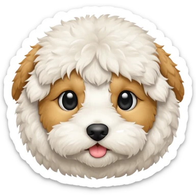 Can you make me an emoji of a very white mini goldendoodle that looks at more poodle with black eyes and a round face? sticker