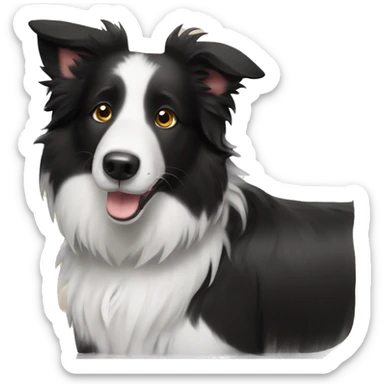 a border collie dog with a name tag that says ian sticker