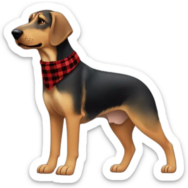 adult 75% Coonhound 25% German Shepherd mix dog with visible tail wearing small pointed red buffalo plaid bandana full body walking left quickly sticker