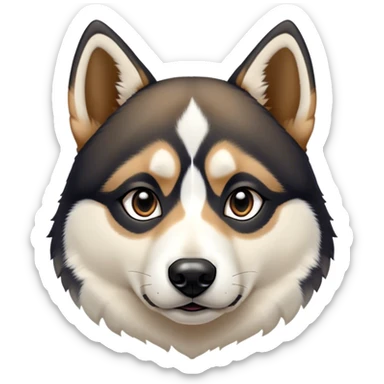 Dog face with black, white and tan. Black on top, around eyes and down sides of snout. Tan eyebrows and white on the rest of the nose and a small triangular strip up between the eyes. Pointy black eyes. Shepard and husky like sticker