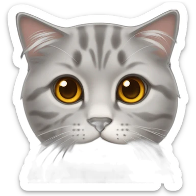a gray, dry-haired cat with amber eyes, Scottish fold sticker