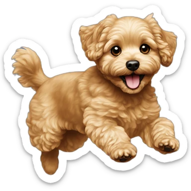golden maltipoo jumping sticker