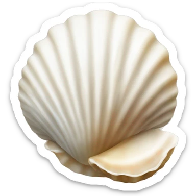 Seashell white sticker