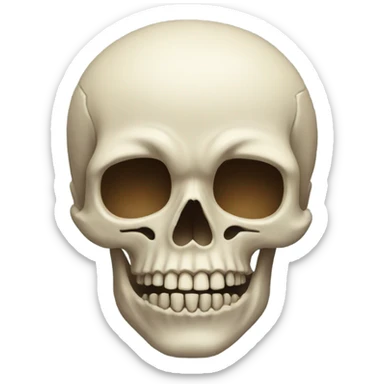 Skull  sticker