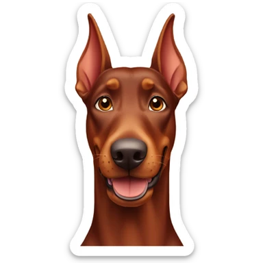 Red Doberman without cropped ears face facing front happy expression  sticker