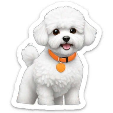 white maltipoo enjoying in the snow with orange collar sticker