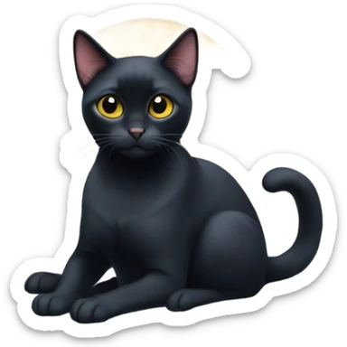Bombay cat in winter sticker