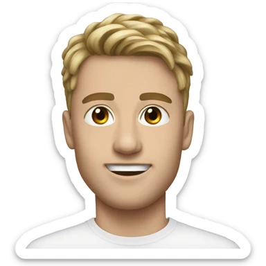 Maxence houard sticker