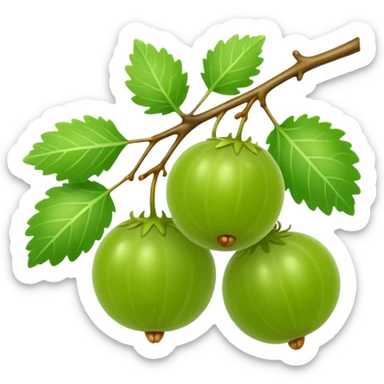gooseberry on branch sticker
