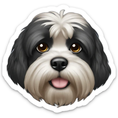 black shitzu sticker