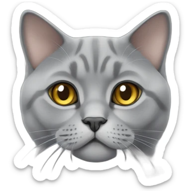 Grey British shorthair cat sticker