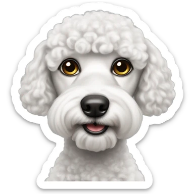 realistic black-eyed white poodle gaze sticker
