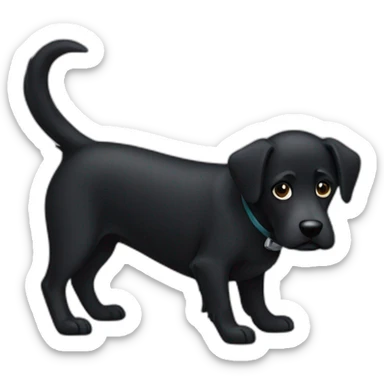 black dog sticker