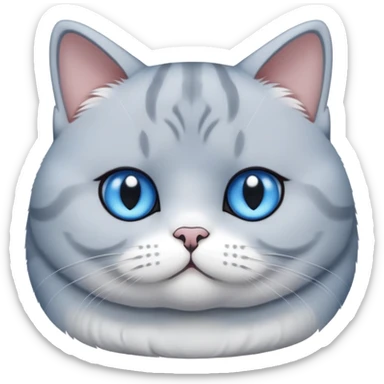 British shorthair blue and white cat with round face and plush fur sticker