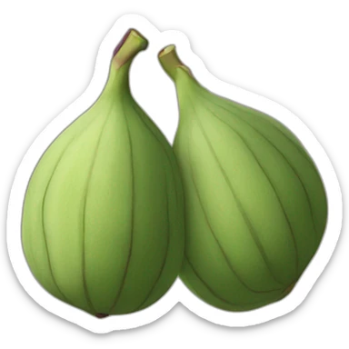 Fig fruit, intersection sticker