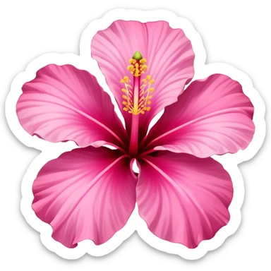 hibiscus flower pink sticker