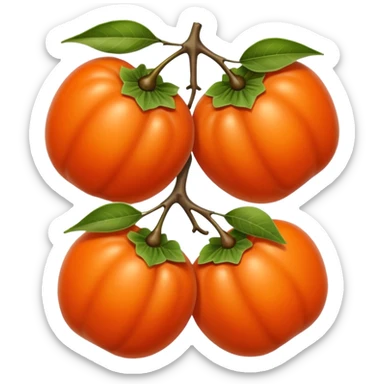 persimmon fruit smooth no parts on skin sticker