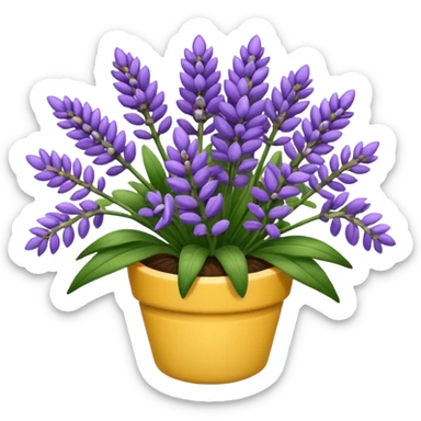 Lavanda sticker
