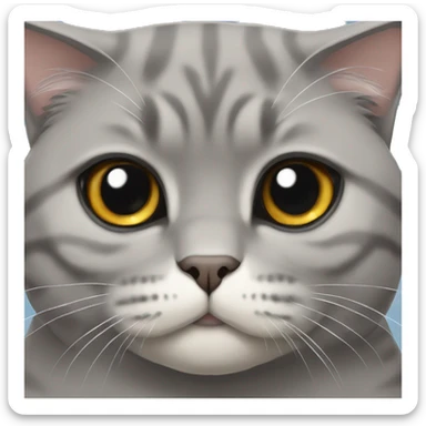Gray-Scottish-fold-cat sticker
