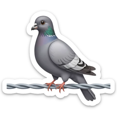 Pigeon sticker
