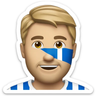 Brighton Hove Albion  sticker