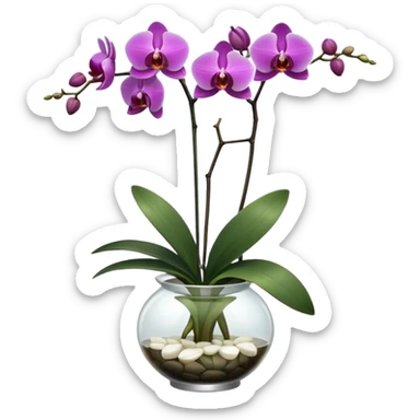 Orchid + glass vase, Window Plant. sticker