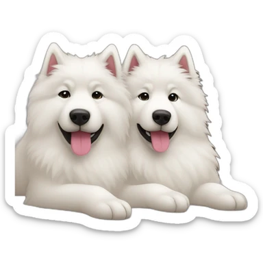 two-samoyeds-snuggling sticker