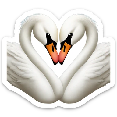 Swans making a heart  sticker