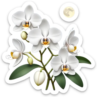 Orchid under moonlight  sticker