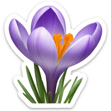 Crocus sticker