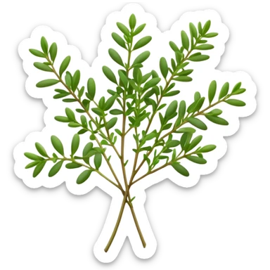 Cinematic Realistic Thyme Emoji, Compact and earthy, with tiny green leaves densely packed on delicate stems. The soft fragrance of the leaves fills the air, creating an atmosphere of warmth and subtle richness. Soft glowing outline, capturing the essence of simplicity and natural healing in a sprig of thyme! sticker