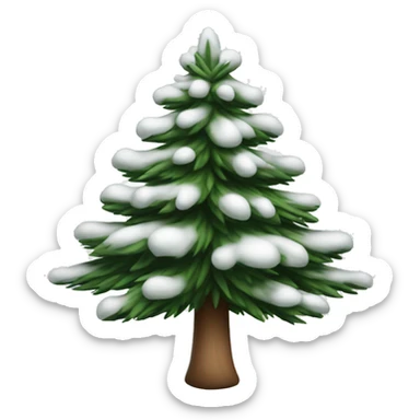  actual white fir christmas tree isolated.  sticker